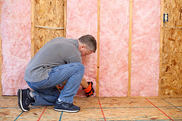 Best Garage Insulation Installation  in West Puente Valley, CA