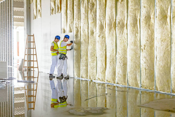 Best Professional Insulation Contractor  in West Puente Valley, CA